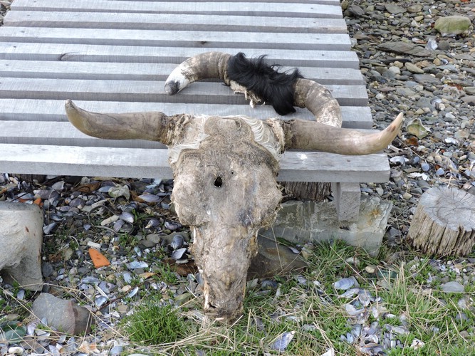 DSCN7685.JPG