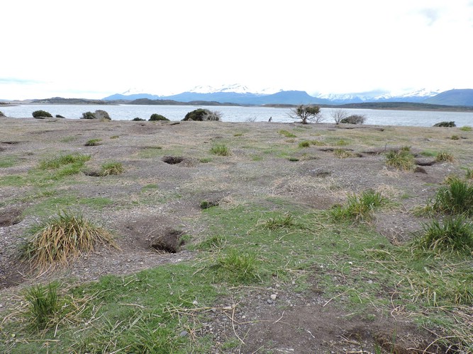 DSCN7729.JPG