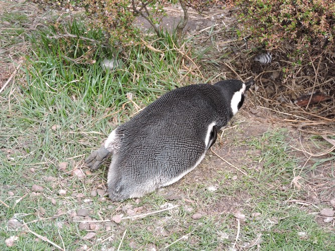 DSCN7734.JPG
