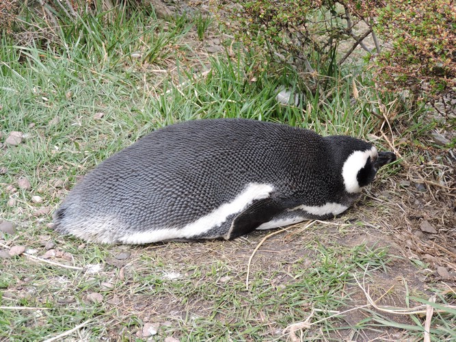 DSCN7735.JPG