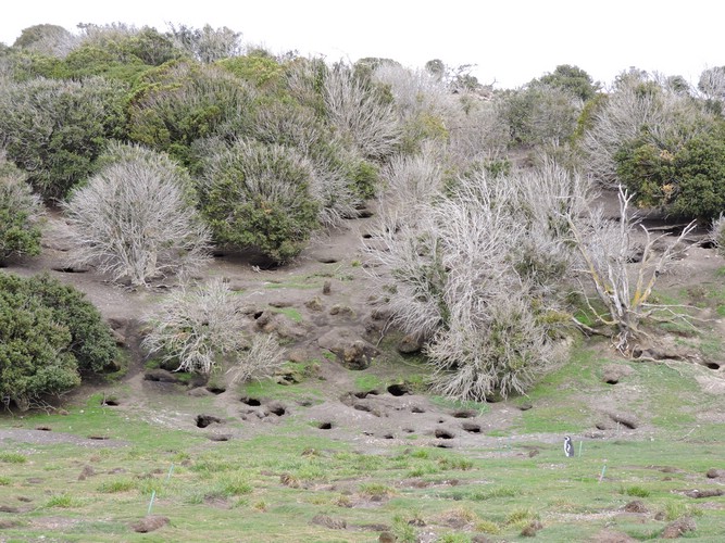 DSCN7747.JPG