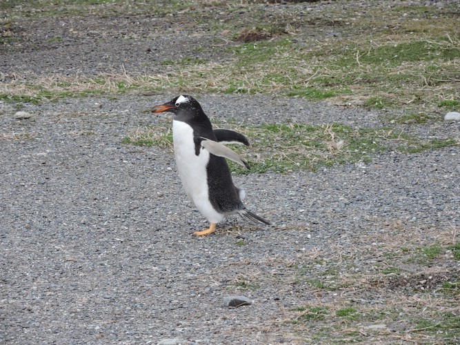 DSCN7763.JPG