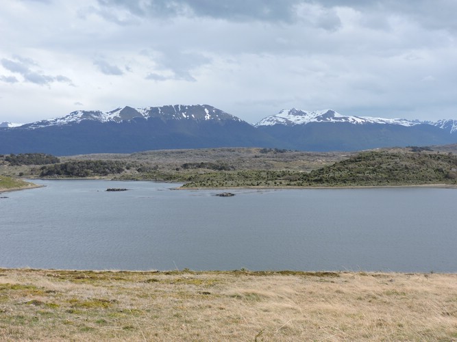 DSCN7780.JPG