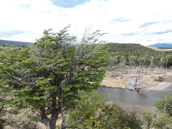DSCN7790.JPG