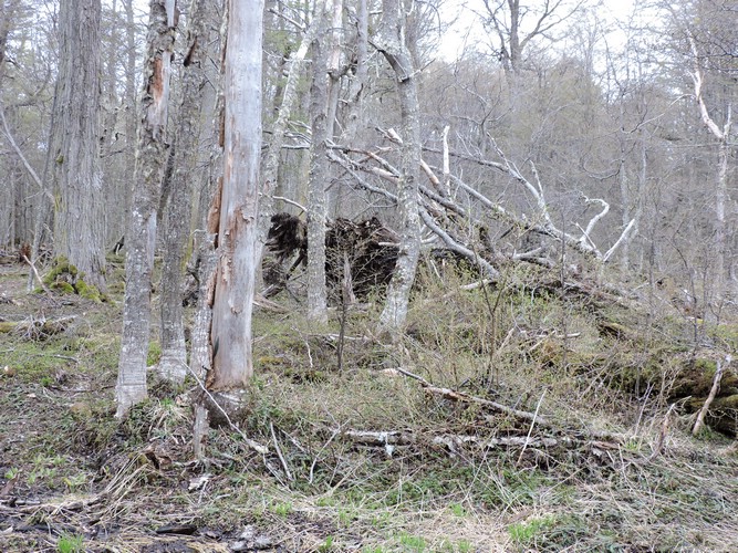 DSCN7794.JPG