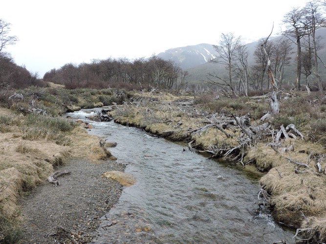 DSCN7798.JPG