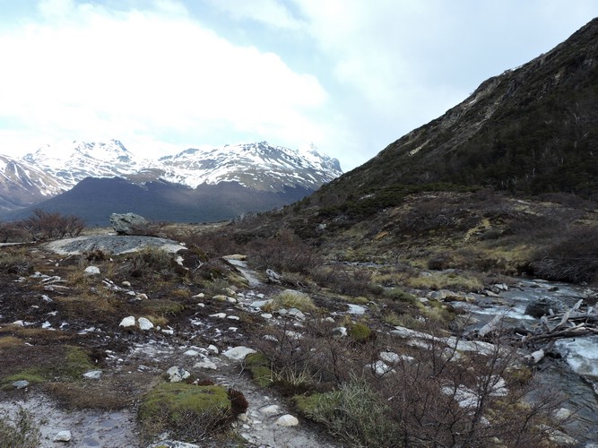 DSCN7812.JPG