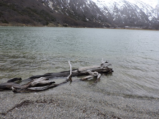 DSCN7815.JPG