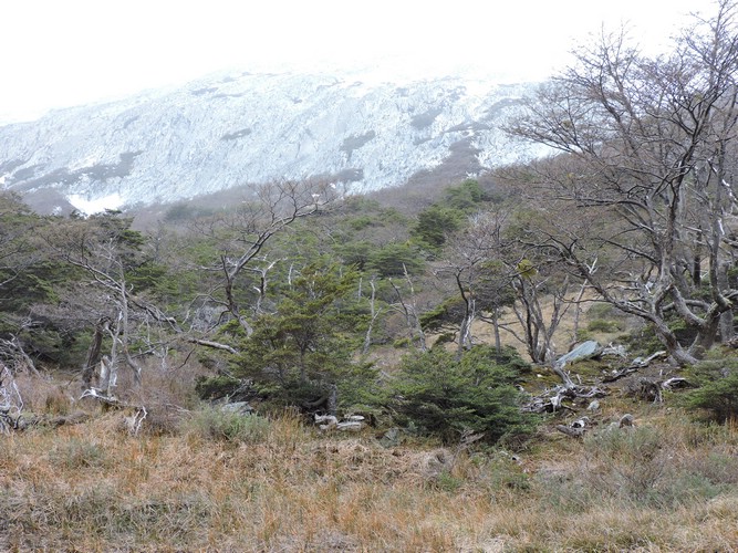 DSCN7819.JPG