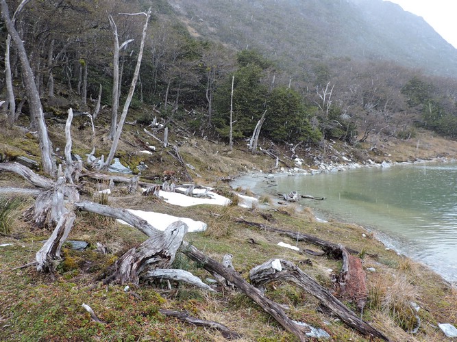 DSCN7822.JPG