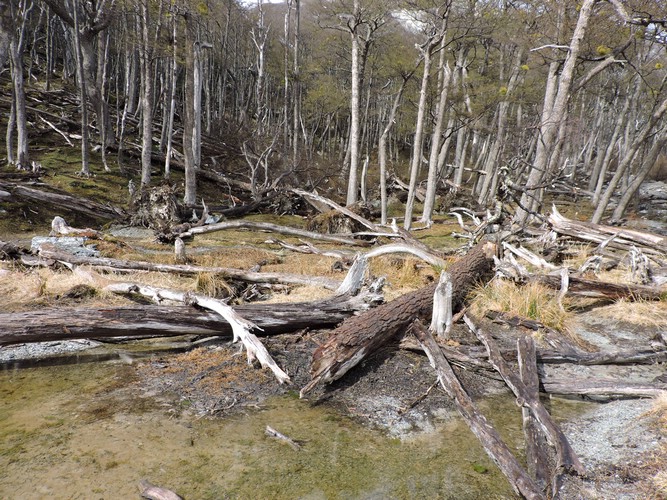 DSCN7824.JPG
