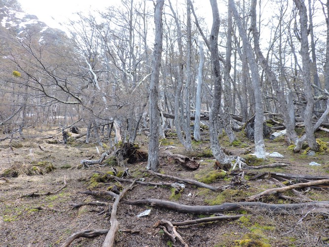 DSCN7832.JPG