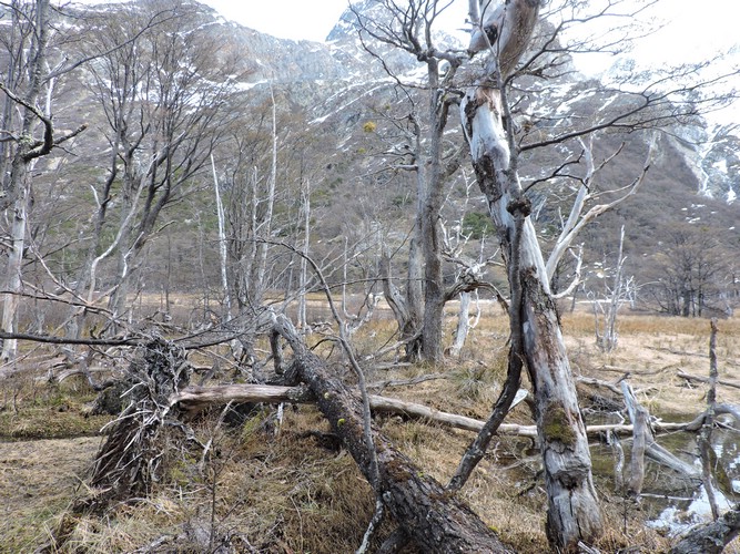 DSCN7834.JPG