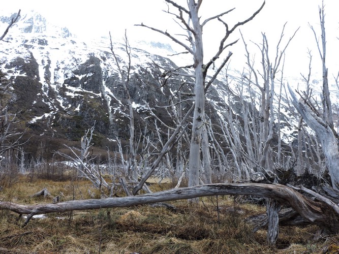 DSCN7837.JPG