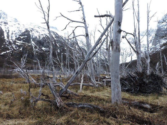 DSCN7838.JPG