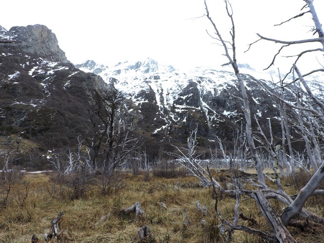 DSCN7839.JPG
