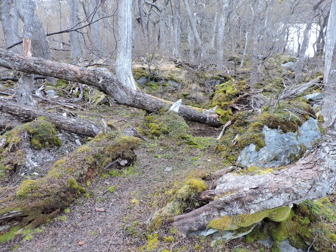 DSCN7841.JPG
