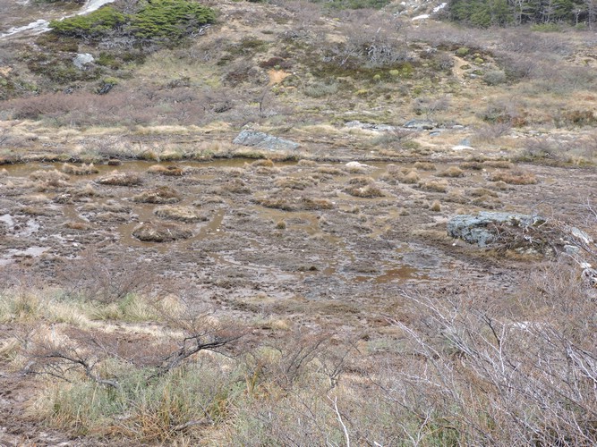 DSCN7847.JPG