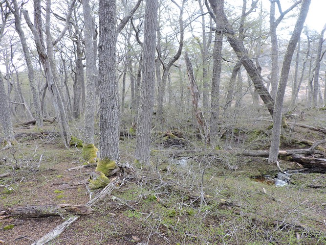 DSCN7855.JPG