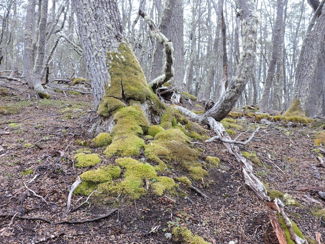 DSCN7856.JPG