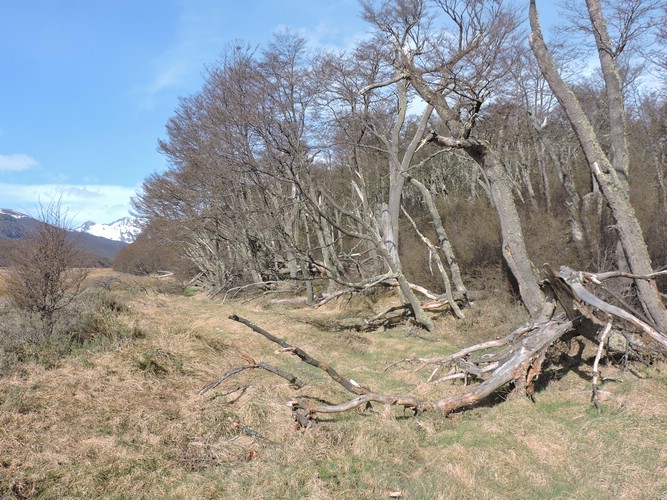 DSCN7861.JPG