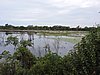 DSCN7425.JPG