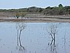 DSCN7428.JPG