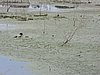 DSCN7429.JPG