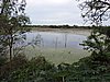 DSCN7430.JPG