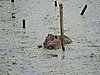 DSCN7432.JPG