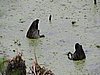 DSCN7434.JPG