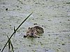DSCN7435.JPG