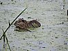 DSCN7436.JPG