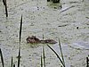 DSCN7440.JPG