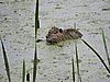DSCN7441.JPG