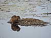 DSCN7442.JPG