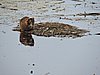 DSCN7444.JPG