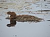 DSCN7445.JPG