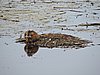 DSCN7447.JPG