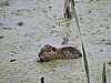 DSCN7448.JPG