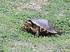 DSCN7449.JPG