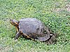 DSCN7450.JPG