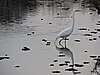 DSCN7455.JPG