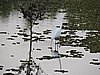 DSCN7456.JPG