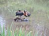 DSCN7459.JPG