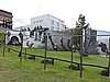 DSCN7468.JPG