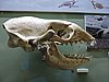 DSCN7477.JPG
