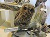 DSCN7478.JPG
