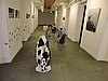 DSCN7505.JPG