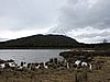 DSCN7533.JPG